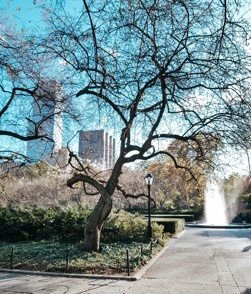 Central Park, Manhattan, Nowy Jork